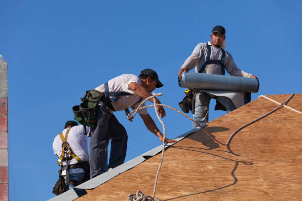 Best Flat Roof Repair Services  in Blue Bell, PA